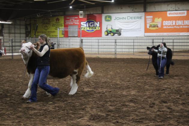 Central Area Livestock Show