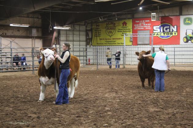 Central Area Livestock Show