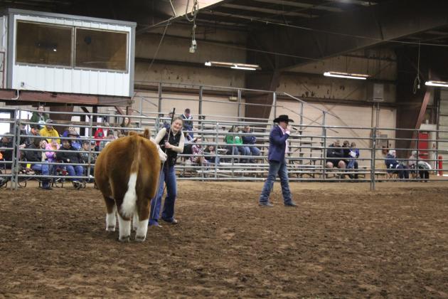 Central Area Livestock Show