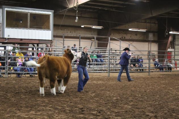 Central Area Livestock Show