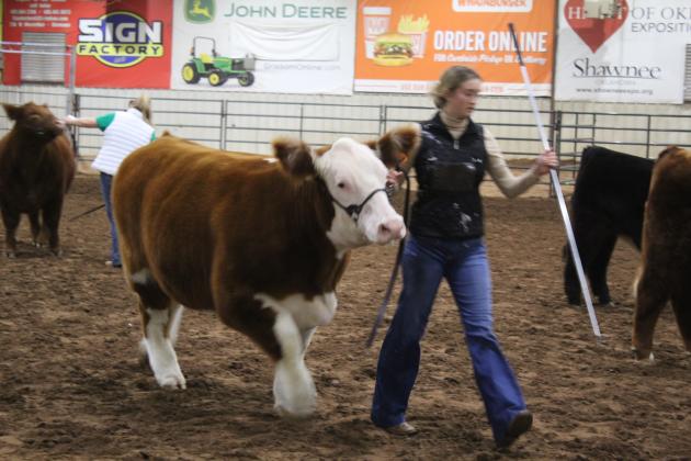 Central Area Livestock Show