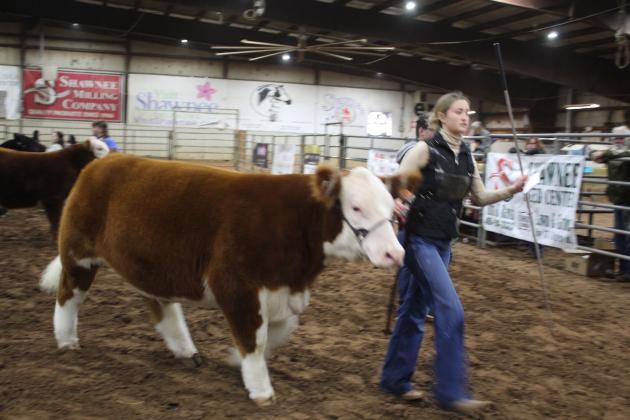 Central Area Livestock Show