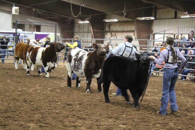 Central Area Livestock Show