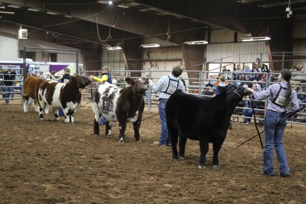 Central Area Livestock Show