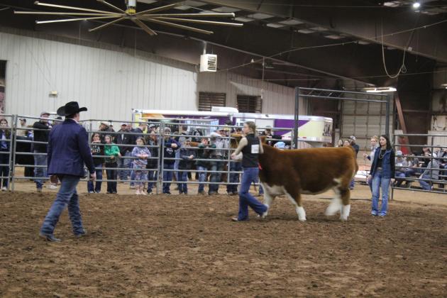 Central Area Livestock Show