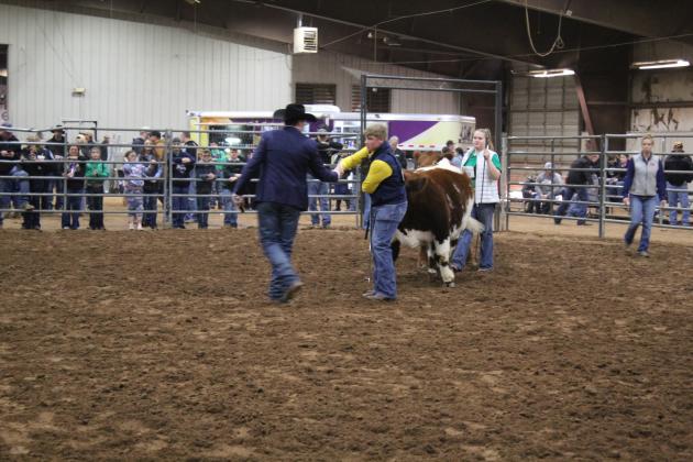 Central Area Livestock Show