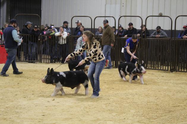 Central Area Livestock Show