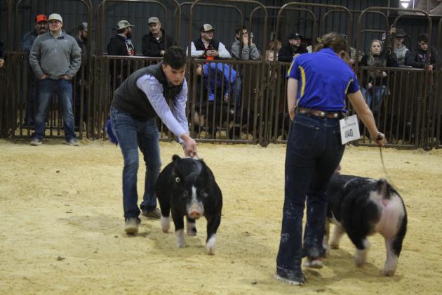 Central Area Livestock Show