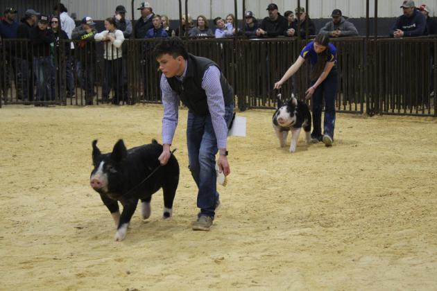 Central Area Livestock Show