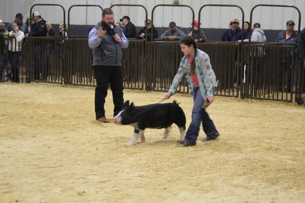 Central Area Livestock Show