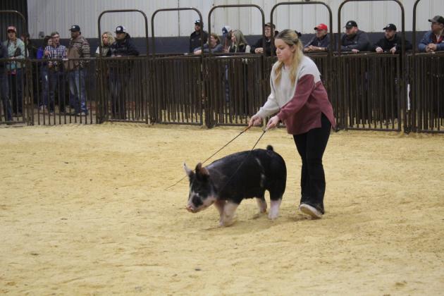 Central Area Livestock Show