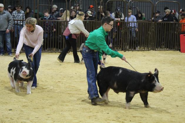 Central Area Livestock Show