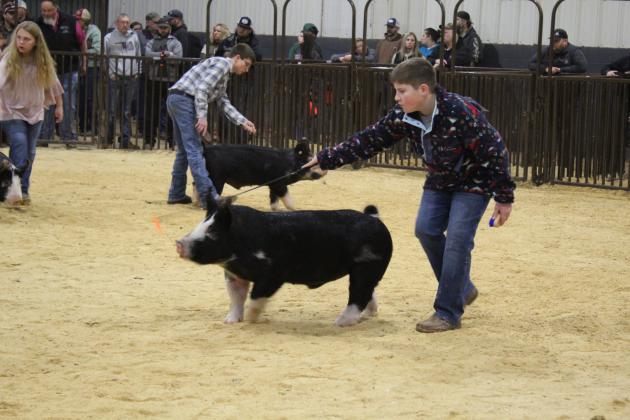 Central Area Livestock Show