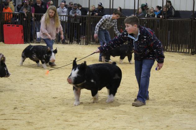 Central Area Livestock Show