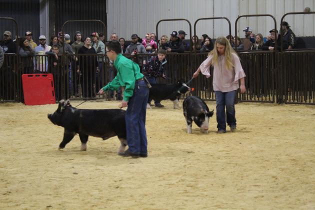 Central Area Livestock Show