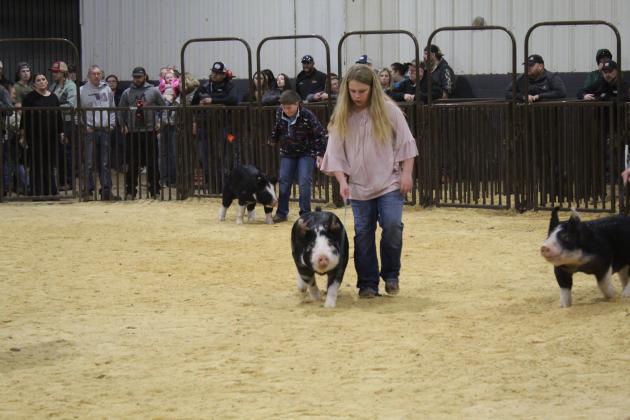 Central Area Livestock Show