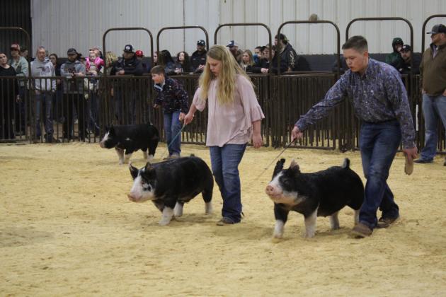 Central Area Livestock Show