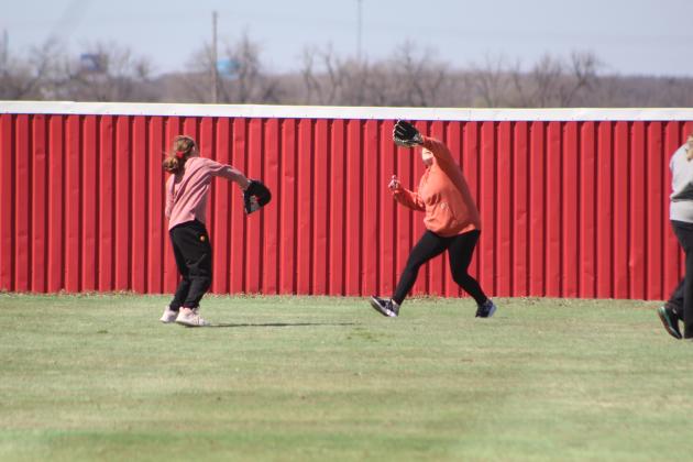 First Annual Dale High School Alumni Slowpitch Softball Game