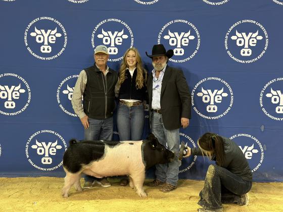 Tecumseh FFA student Marli Williams took seventh overall for her Dark Cross Barrow at the Oklahoma Youth Expo earlier this month. Photo provided.