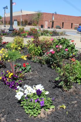 Annuals and perennials bloom in two of the 16 gardens at street corners along South Broadway Street on April 18. Tecumseh City Clerk/Treasurer/Assistant Administrator Cathy Condit has been responsible for replanting the gardens for 12 years. Countywide &amp; Sun/Natasha Dunagan