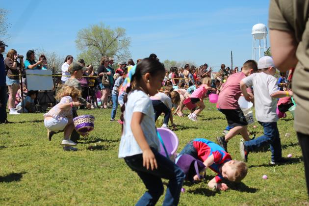 Tecumseh EGGsperience &amp; Block Party