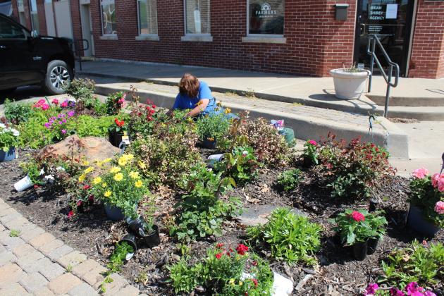 Tecumseh City Clerk/Treasurer/Administrative Assistant Cathy Condit plants flowers in one of the 16 gardens on South Broadway Street on April 17. Condit has planted annuals and perennials on the street corners each spring, all but one year, since 2010. Countywide &amp;amp; Sun/Natasha Dunagan