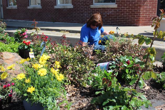 Tecumseh City Clerk/Treasurer/Administrative Assistant Cathy Condit plants flowers in one of the 16 gardens on South Broadway Street on April 17. Condit has planted annuals and perennials on the street corners each spring, all but one year, since 2010. Countywide &amp;amp; Sun/Natasha Dunagan