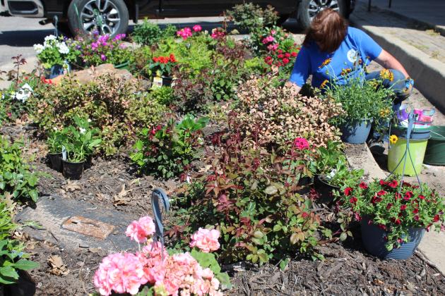Tecumseh City Clerk/Treasurer/Administrative Assistant Cathy Condit plants flowers in one of the 16 gardens on South Broadway Street on April 17. Condit has planted annuals and perennials on the street corners each spring, all but one year, since 2010. Countywide &amp; Sun/Natasha Dunagan