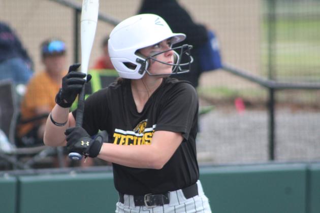 Tecumseh vs. Chandler - Regional Slow Pitch