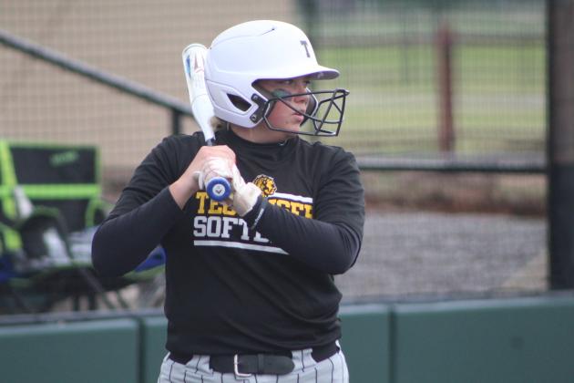 Tecumseh vs. Chandler - Regional Slow Pitch
