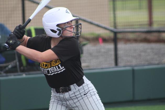 Tecumseh vs. Chandler - Regional Slow Pitch
