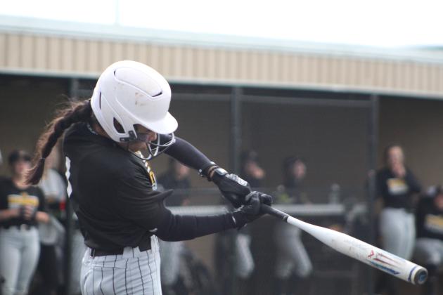 Tecumseh vs. Chandler - Regional Slow Pitch