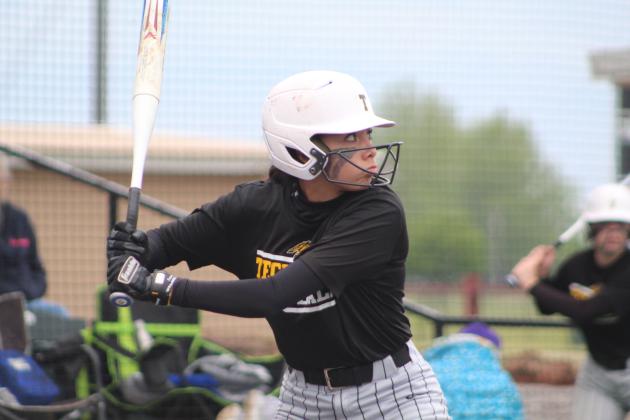 Tecumseh vs. Chandler - Regional Slow Pitch