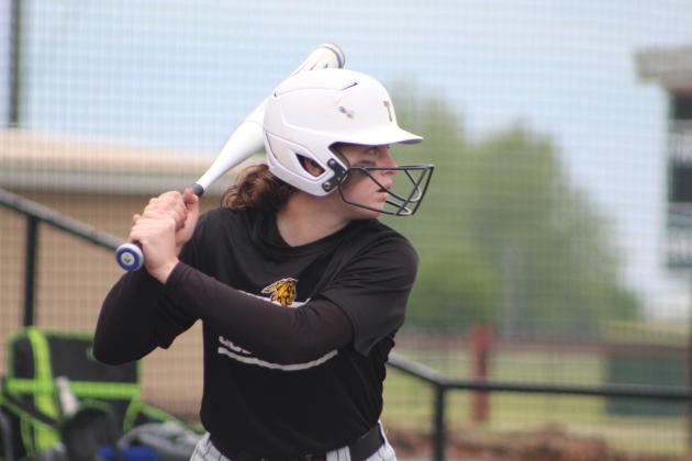 Tecumseh vs. Chandler - Regional Slow Pitch