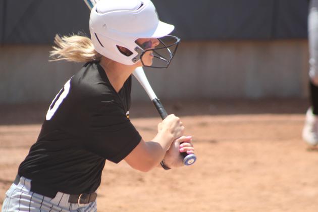 Lady Savages Finish A Great Season In State Tournament