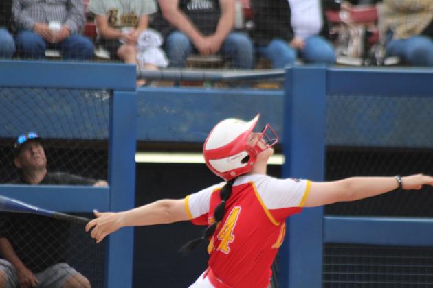 Dale Slowpitch at State Finals