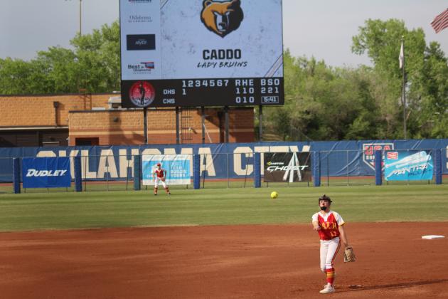 Dale Slowpitch at State Finals