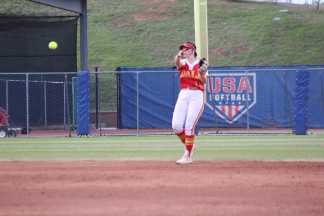 Dale Slowpitch at State Finals
