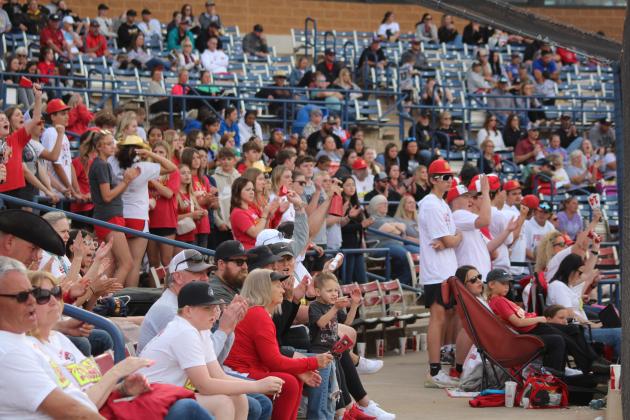 Dale Slowpitch at State Finals