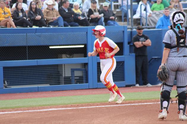 Dale Slowpitch at State Finals