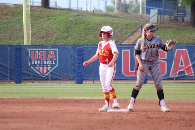 Dale Slowpitch at State Finals