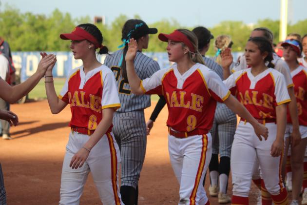 Dale Slowpitch at State Finals