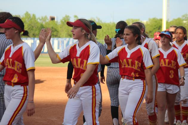 Dale Slowpitch at State Finals