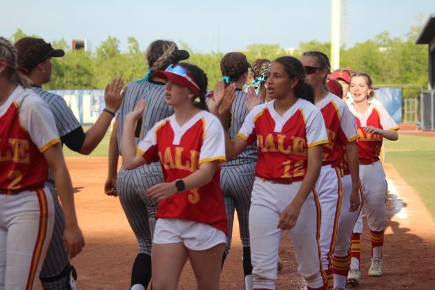 Dale Slowpitch at State Finals