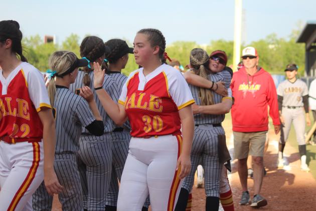 Dale Slowpitch at State Finals