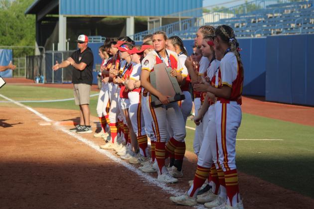 Dale Slowpitch at State Finals