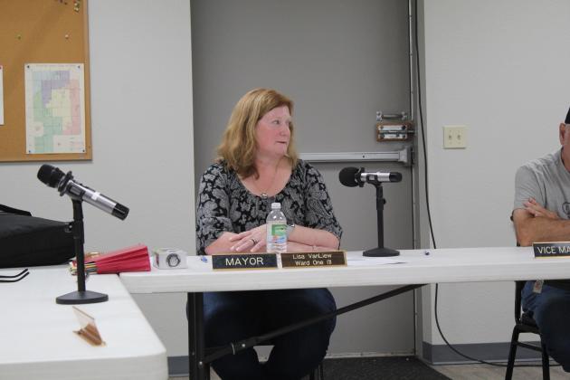 Lisa Van Liew, who serves as Pink's Mayor, Ward One Trustee, Clerk and Treasurer, speaks during the May 15 Pink Town Council Special Meeting. Countywide &amp; Sun/Natasha Dunagan