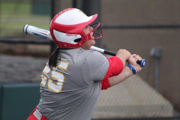 Dale vs. Wayne - Regional Slow Pitch