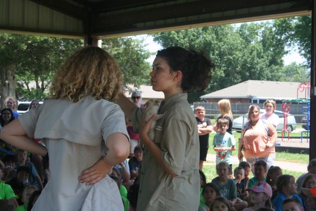 Extreme Animals at Tecumseh Library Summer Program