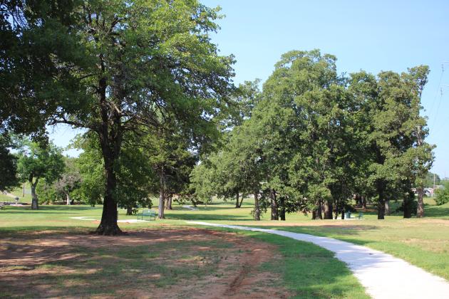 TAG Takes a Walk in the Park